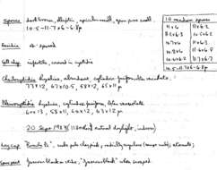 Image de Psathyrella microrhiza (Lasch) Konrad & Maubl. 1949