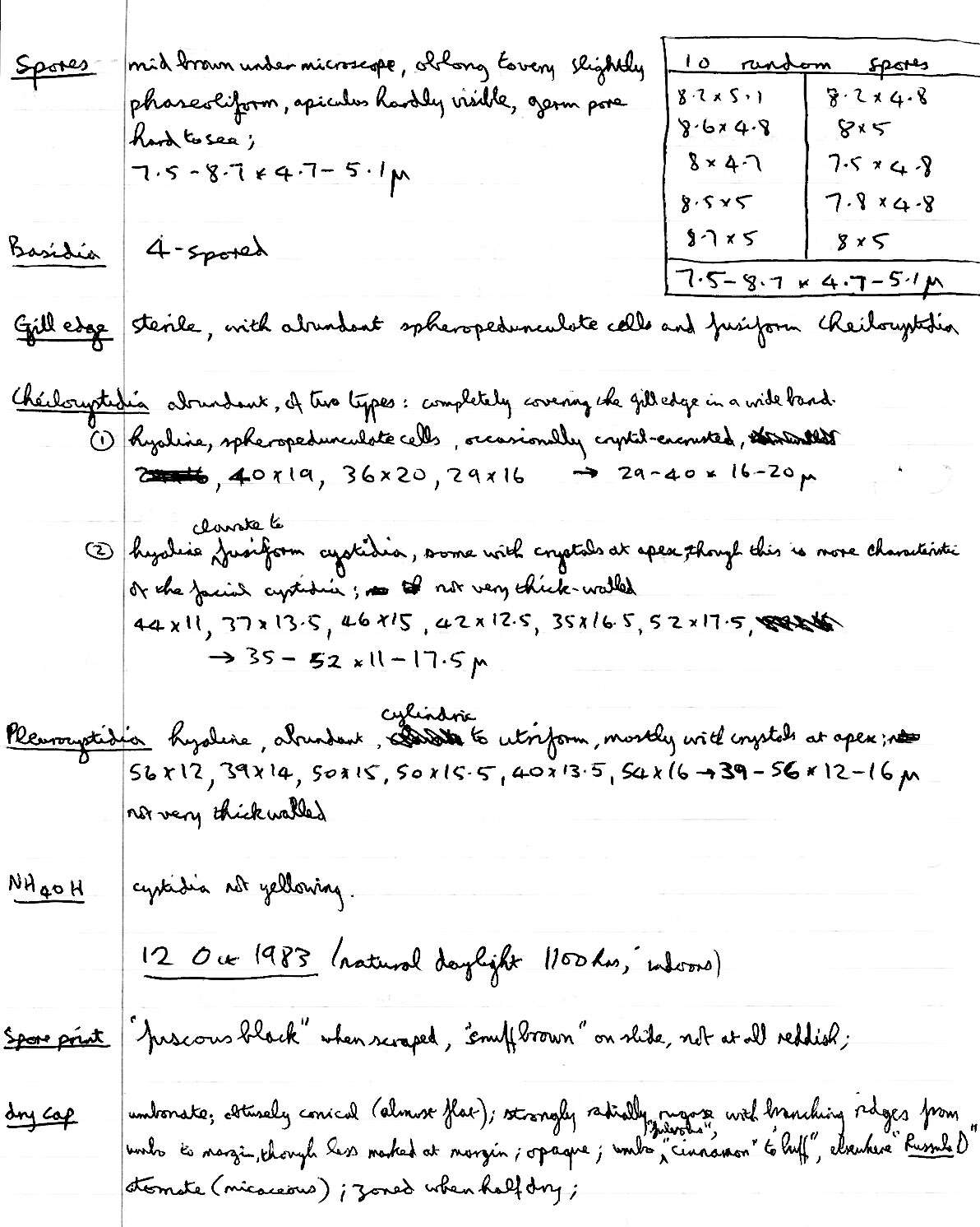 Image de Psathyrella olympiana A. H. Sm. 1941