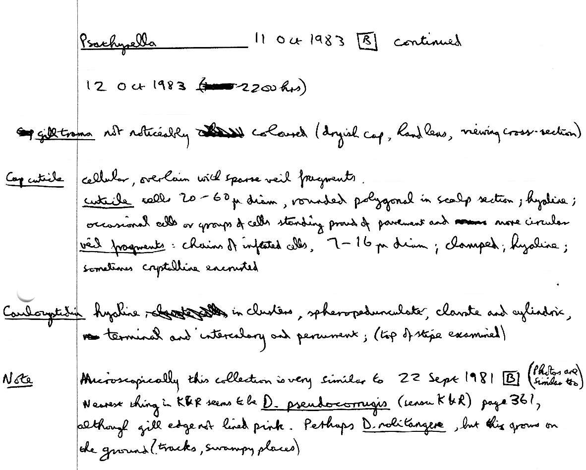 Image de Psathyrella olympiana A. H. Sm. 1941