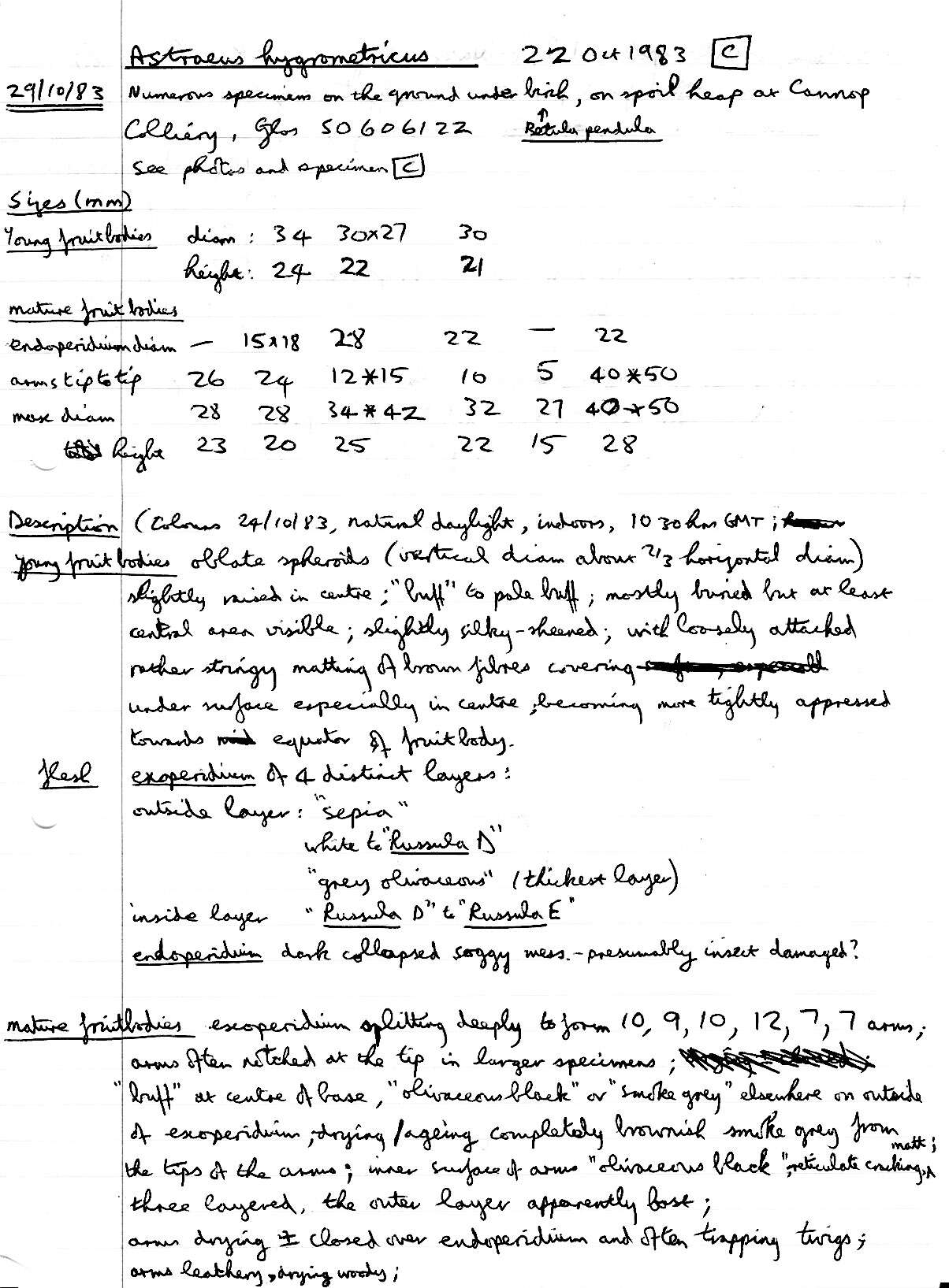 Image de Astrée hygrométrique