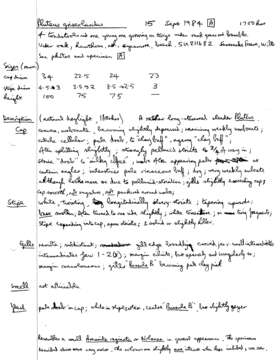 Image of Pluteus griseoluridus P. D. Orton 1984