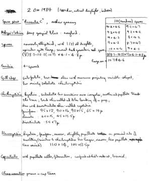 Слика од Mycena latifolia (Peck) A. H. Sm. 1935