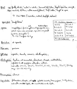 Image of Inocybe agardhii (N. Lund) P. D. Orton 1960