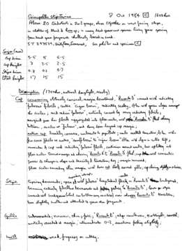 Crinipellis scabella (Alb. & Schwein.) Murrill 1915 resmi