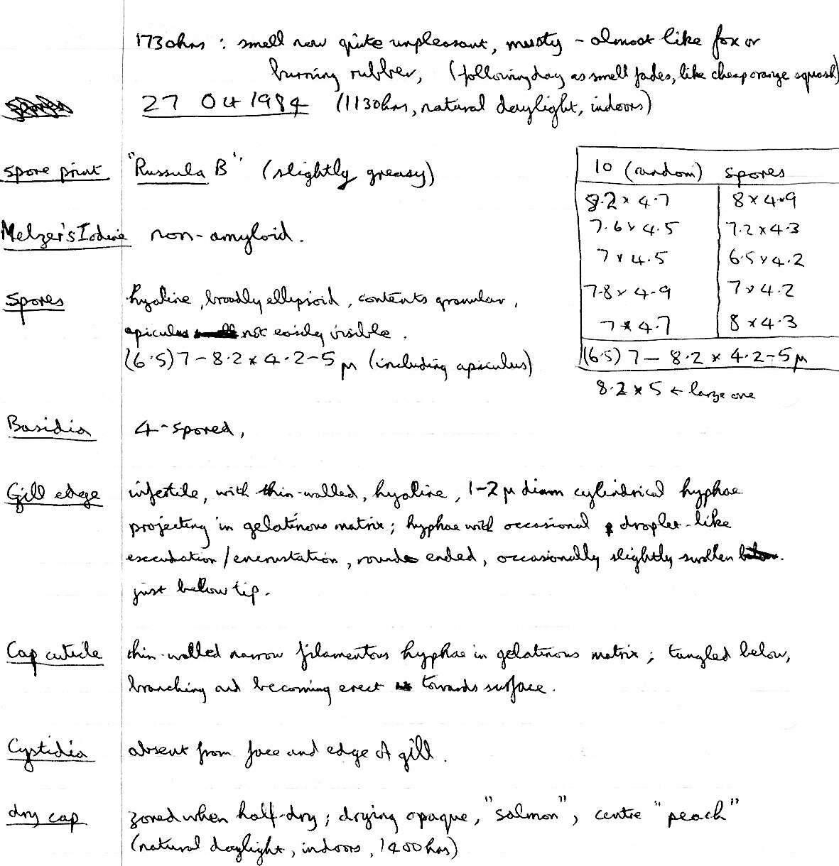 Image of Gliophorus laetus (Pers.) Herink 1958