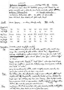 Image of Galerina marginata (Batsch) Kühner 1935