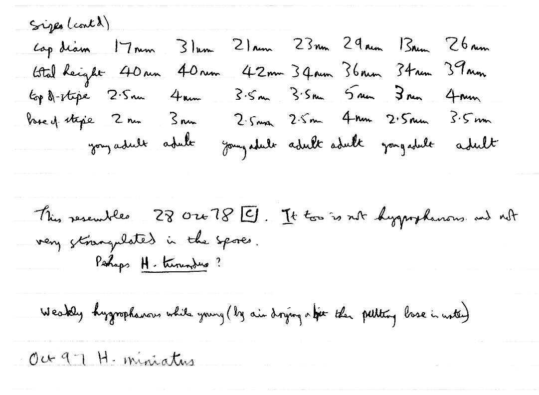 Image of Hygrocybe miniata (Fr.) P. Kumm. 1871