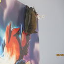 Image of little brown bat