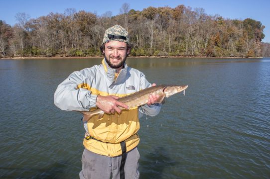 18.https www inaturalist org photos 1485200.580x360