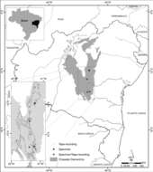 Image of Diamantina Tapaculo