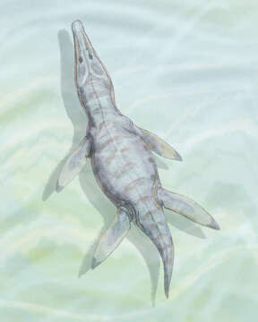 Image of Monquirasaurus