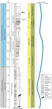 Image of Ausichicrinites