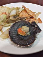 Image of Great Atlantic scallop