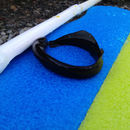 Image of Lake lamprey