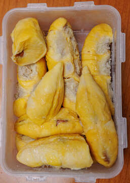 Image of durian