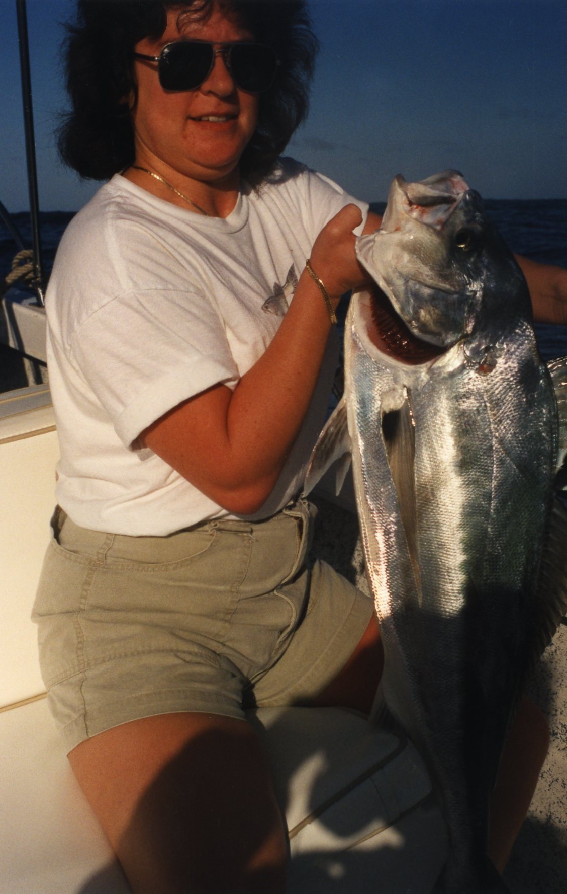Image of Roosterfish