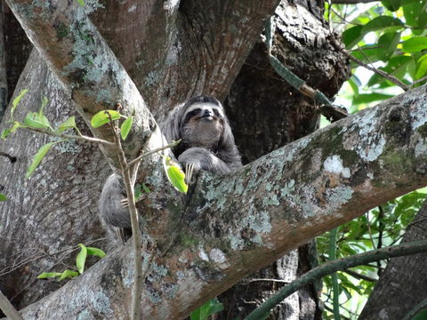 18.https www inaturalist org photos 2707331.580x360