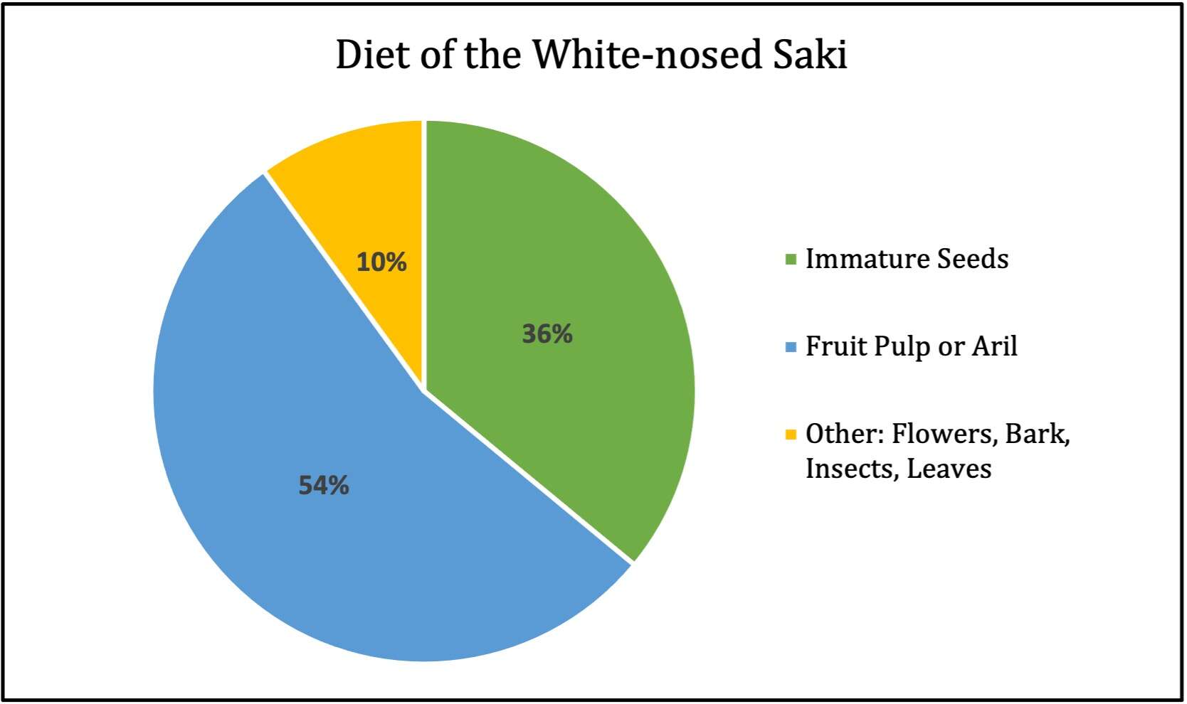 Image of Red-nosed Bearded Saki