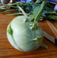 Image of kohlrabi