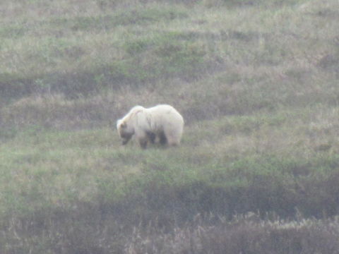 18.https www inaturalist org photos 3714318.580x360