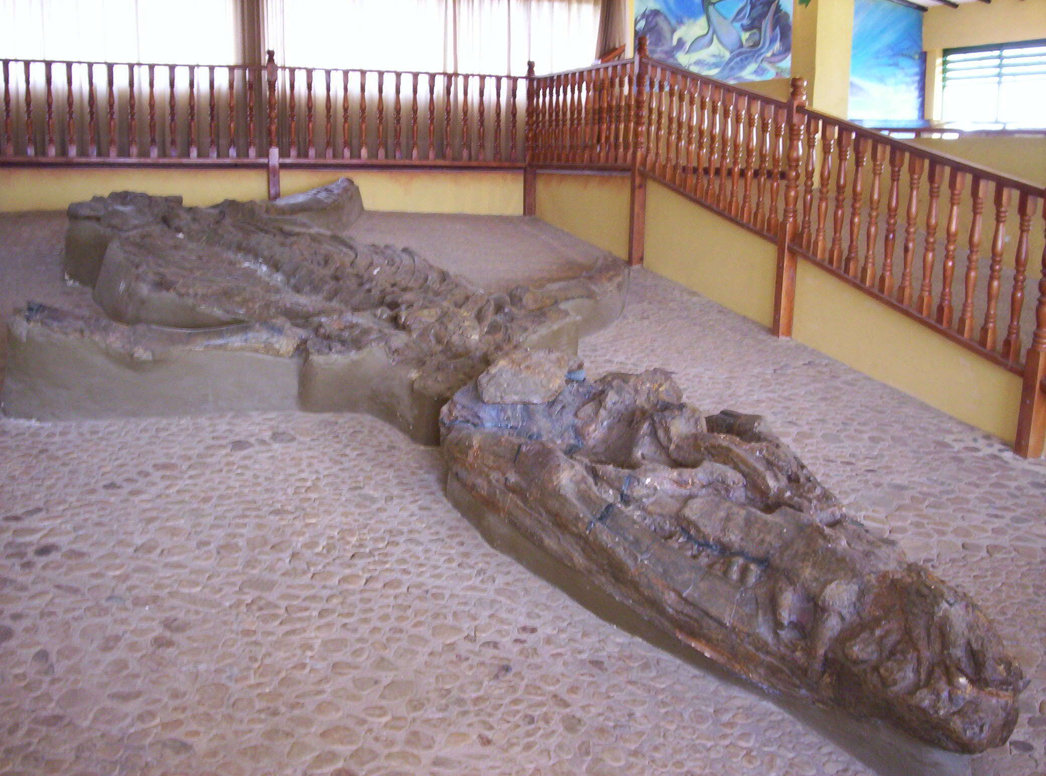 Image of Monquirasaurus