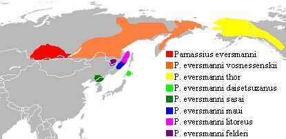 Sivun Parnassius eversmanni Ménétriés 1855 kuva