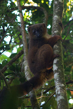 18.https www inaturalist org photos 402780.580x360