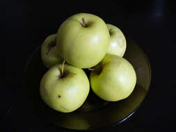 Image of apple