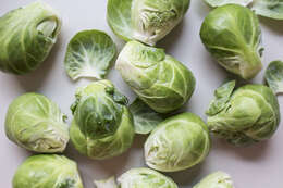 Image of Brussels Sprout