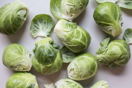 Image of Brussels Sprout