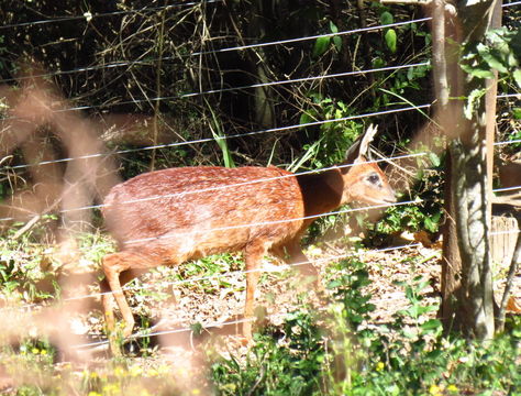 18.https www inaturalist org photos 485396.580x360