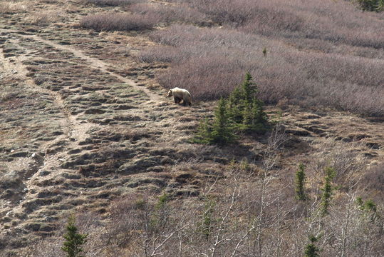 18.https www inaturalist org photos 494835.580x360