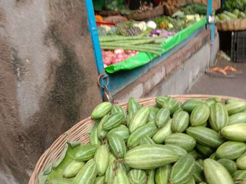 Image of pointed gourd