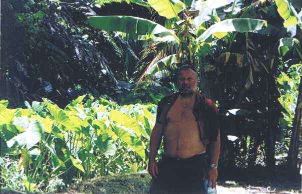 Image of Wild Taro