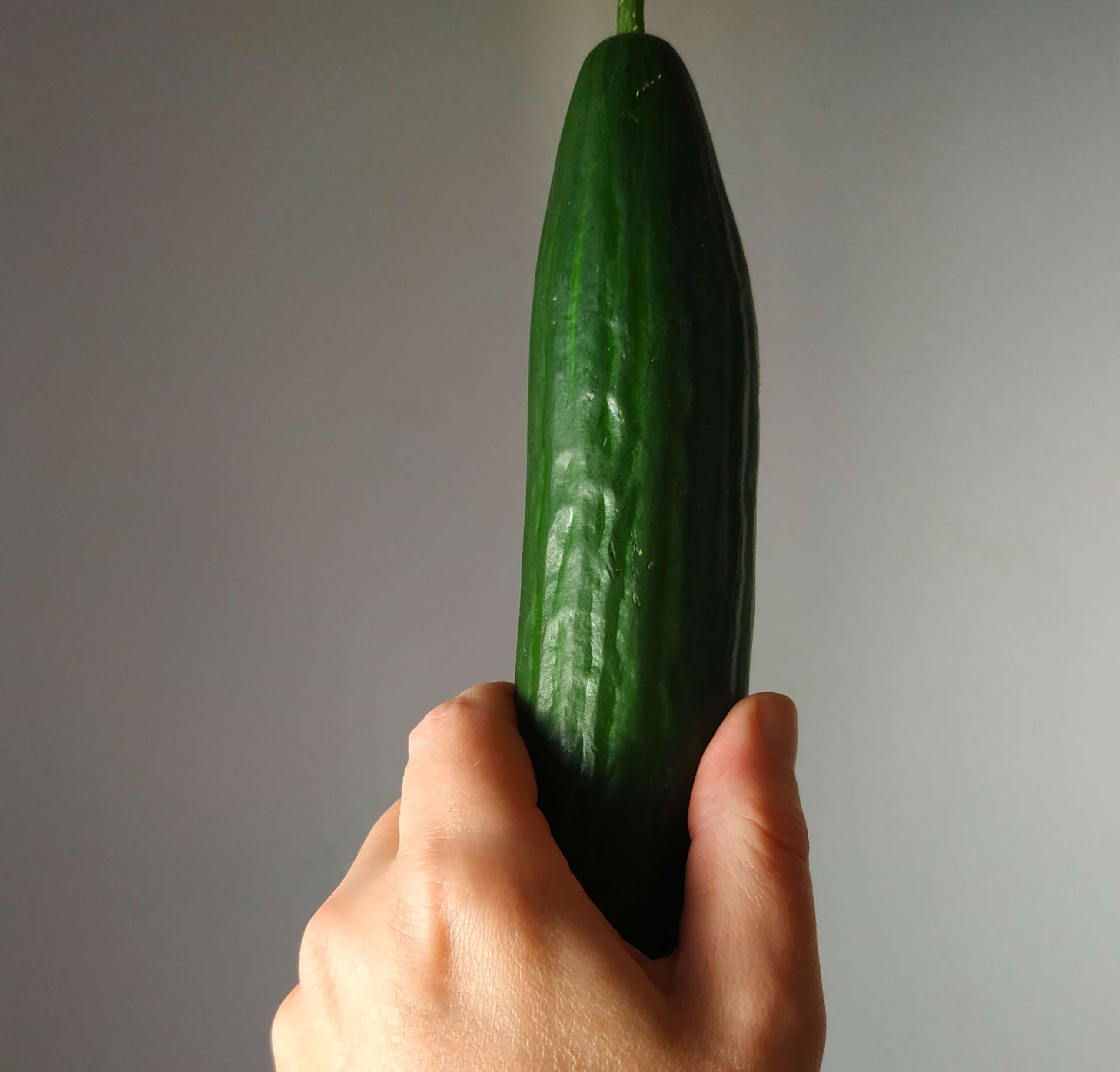 Image of garden cucumber