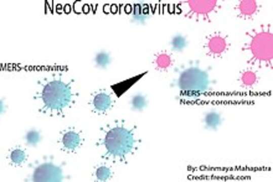 Image of Coronavirus