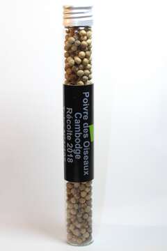 Image of black pepper