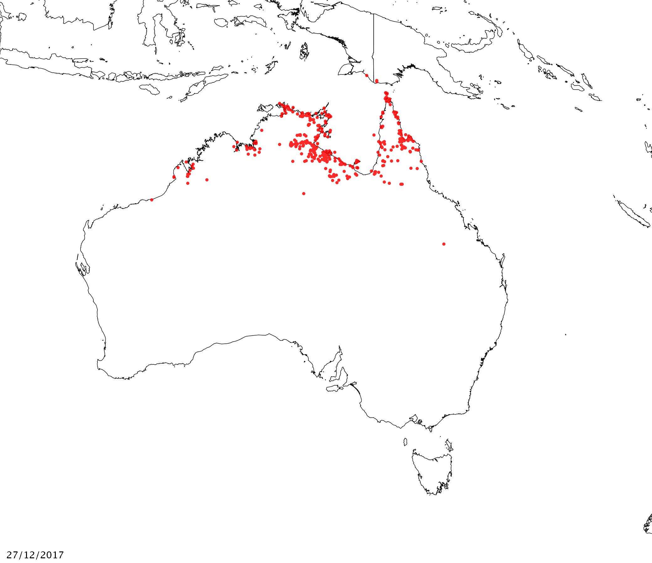 Image of Melaleuca acacioides F. Müll.