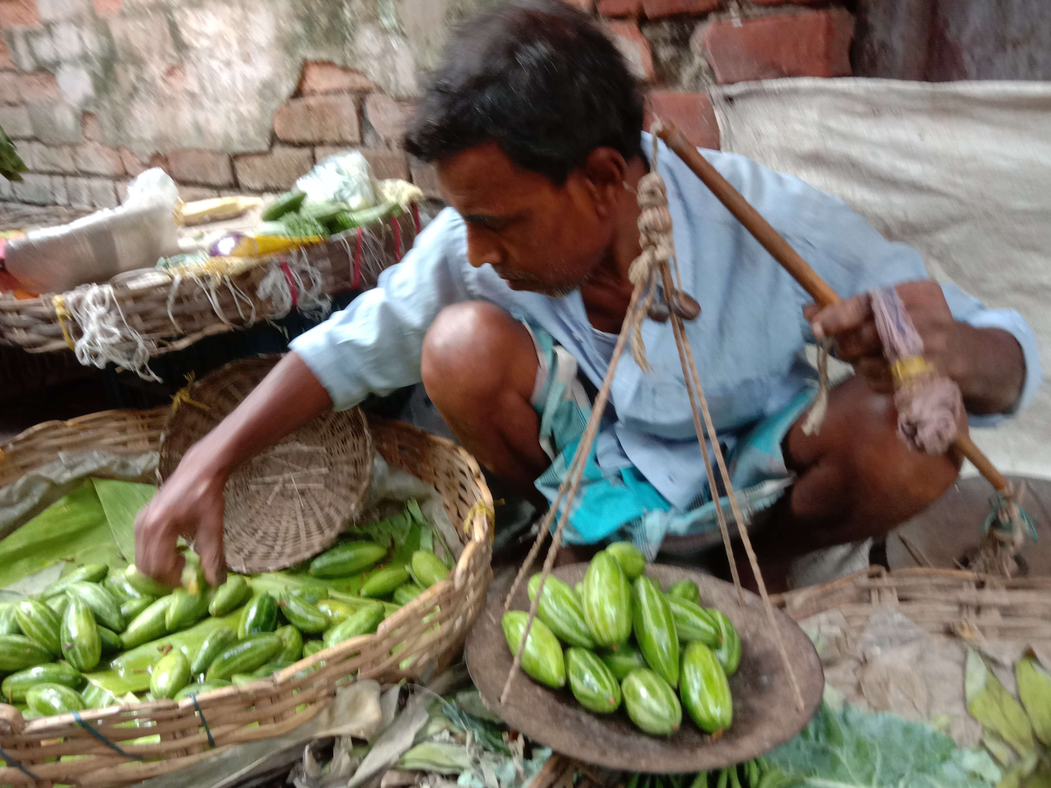 Image of pointed gourd