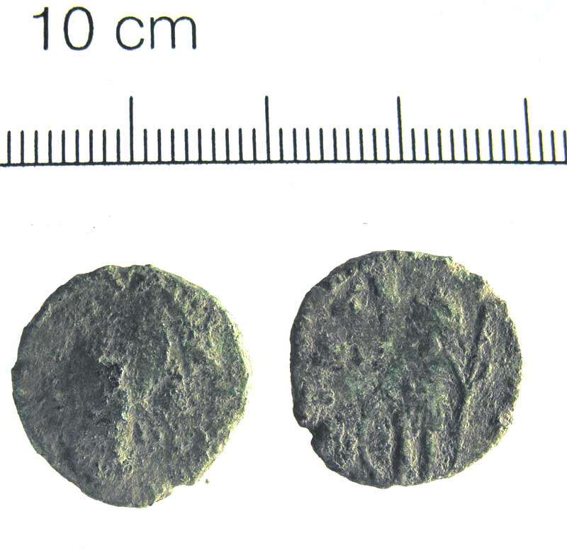 Image of Carausius