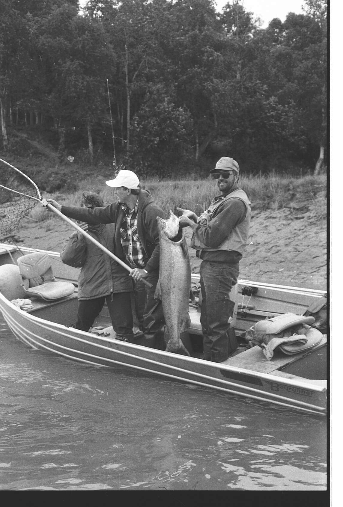 Image of Chinook Salmon