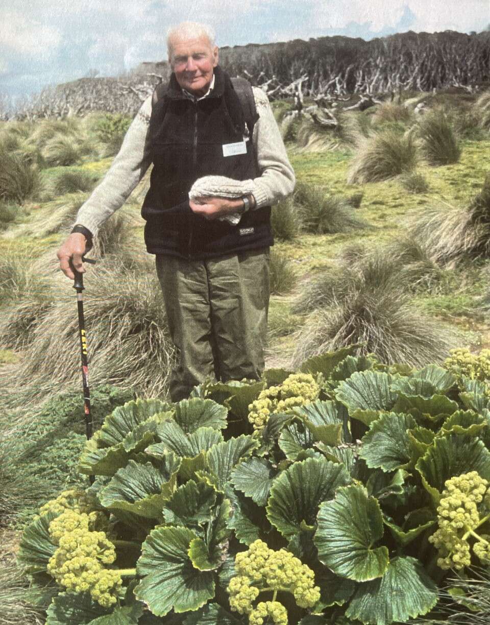 Imagem de Azorella