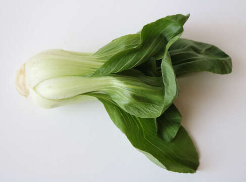 Image of pak choi