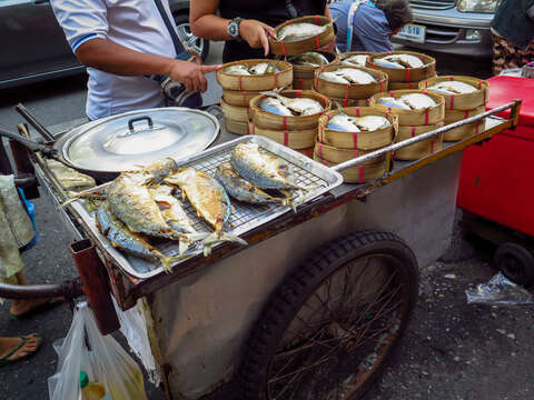 Image of Short Mackerel