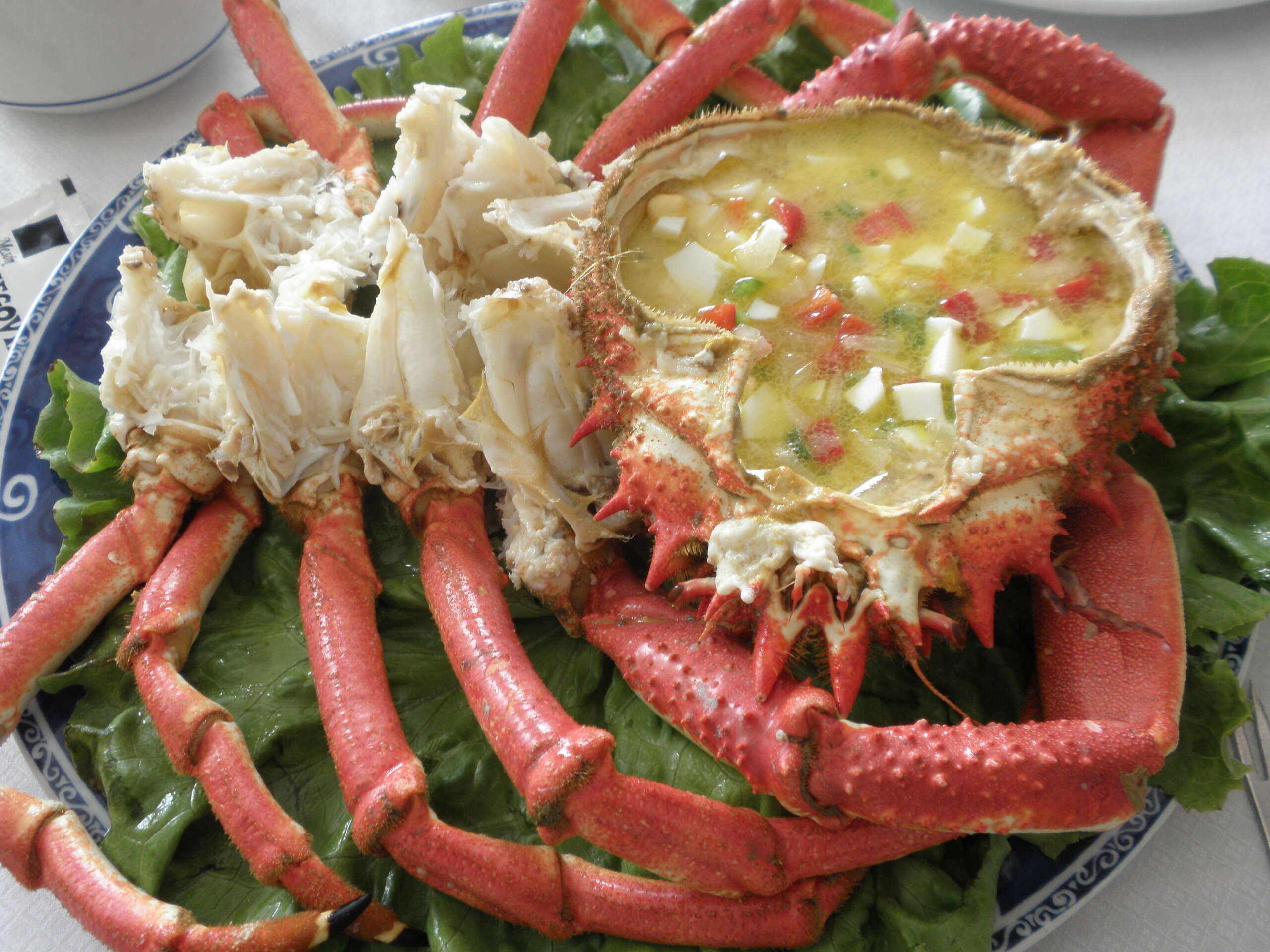 Image of Atlantic spider crab