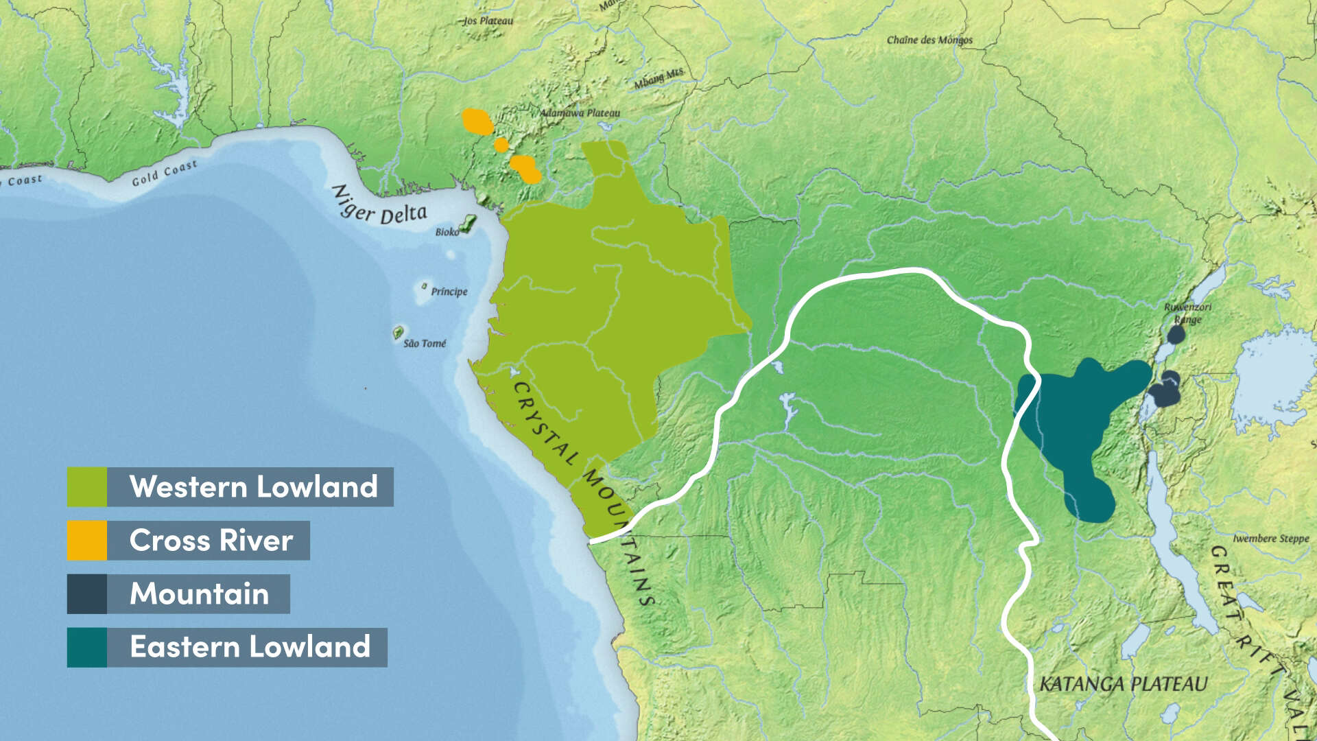 Image of Cross River Gorilla