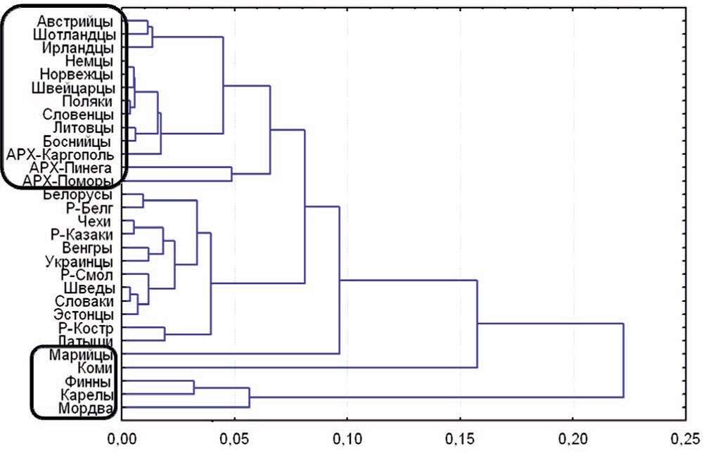 Слика од Dendrogramma Just, Kristensen & Olesen 2014