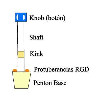 Image of adenovirus