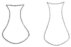 Imagem de Insara elegans (Scudder & S. H. 1901)