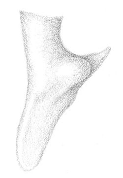 Image de Conocephalus stictomerus Rehn, J. A. G. & Hebard 1915